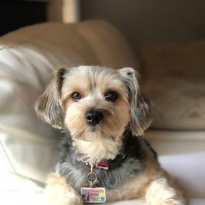 Meet your Posher, Daniela